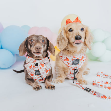 Dog Adjustable Harness - P.S. I Woof You