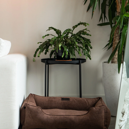 Chester & Lee | Milk Chocolate Sleeper Dog Bed