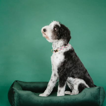 Chester & Lee | Classic Velvet Sleeper Dog Bed Green