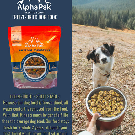PREMIUM RAW FREEZE DRIED DOG FOOD BEEF