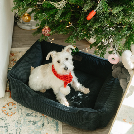Chester & Lee | Fancy Corduroy Sleeper Dog Bed Graphite