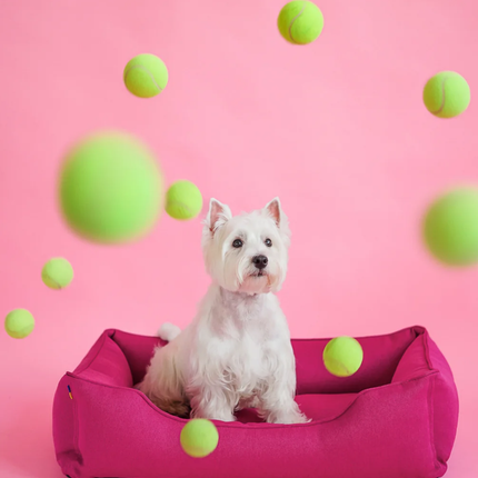Chester & Lee | Cotton Sleeper Dog Bed Berry Pink