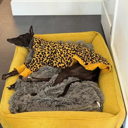 Chester & Lee | Fancy Corduroy Sleeper Dog Bed Sunny Yellow