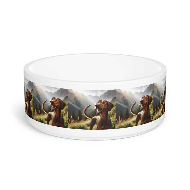 Ceramic Pet Bowl – 16 oz Dog Feeding Bowl