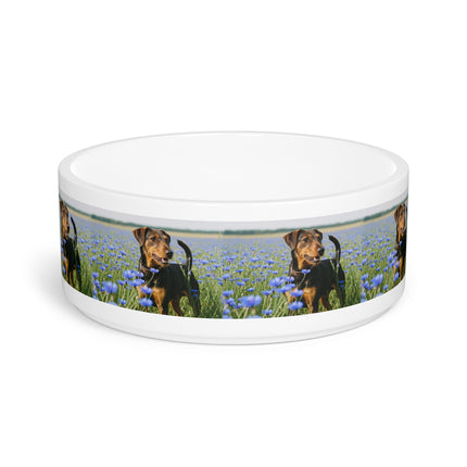 Ceramic Pet Bowl – 16 oz Dog Feeding Bowl