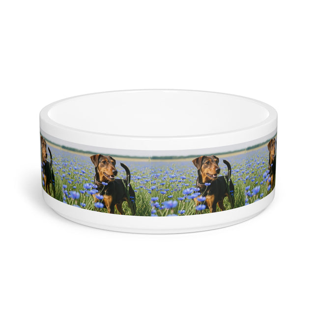 Ceramic Pet Bowl – 16 oz Dog Feeding Bowl
