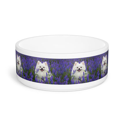 Ceramic Pet Bowl – 16 oz Dog Feeding Bowl