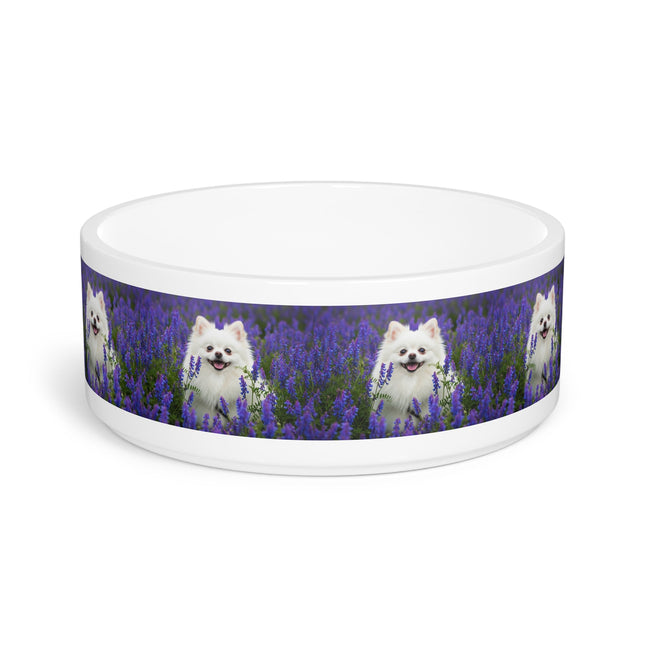 Ceramic Pet Bowl – 16 oz Dog Feeding Bowl