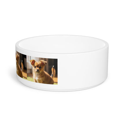 Ceramic Pet Bowl – 16 oz Dog Feeding Bowl