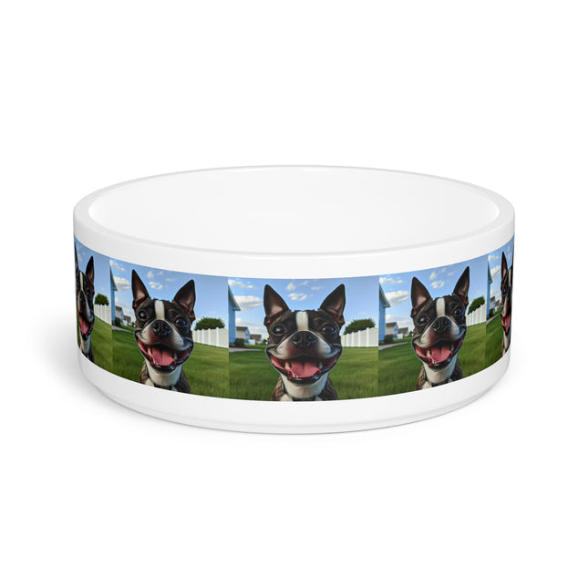 Ceramic Pet Bowl – 16 oz Dog Feeding Bowl