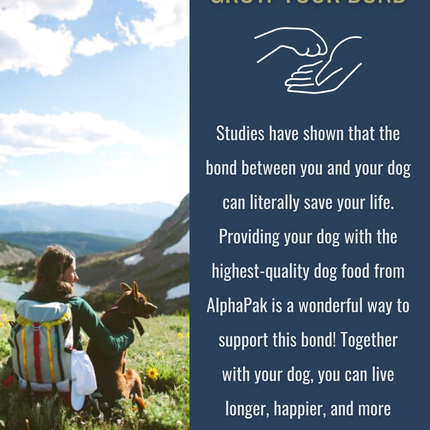 PREMIUM RAW FREEZE DRIED DOG FOOD BEEF