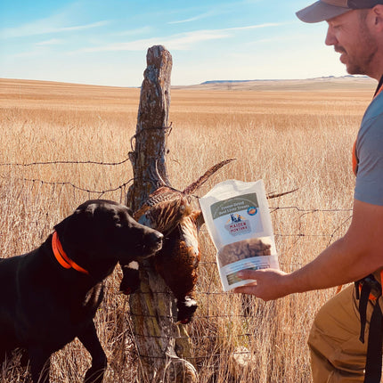 Freeze Dried Treats | Beef Liver | 12oz.