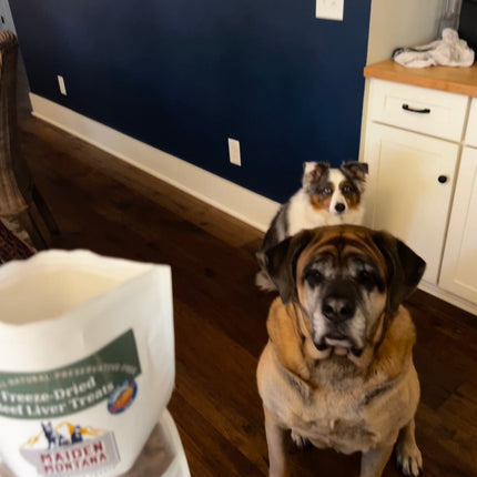Freeze Dried Treats | Beef Liver | 12oz.