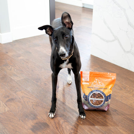PREMIUM RAW FREEZE DRIED DOG FOOD BEEF