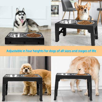 Top 10 Elevated Dog Bowl Stands with Stainless Steel Dishes