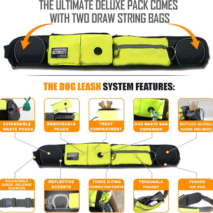Hands Free Dog Leash Two Dogs Double Bungee Reflective Running Kit