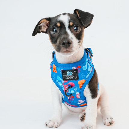 Dog Adjustable Harness - Blue's Clues™