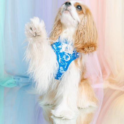 Dog Adjustable Harness - Care Bears™ Grumpy Bear