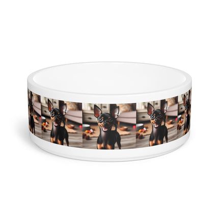 Ceramic Pet Bowl – 16 oz Dog Feeding Bowl