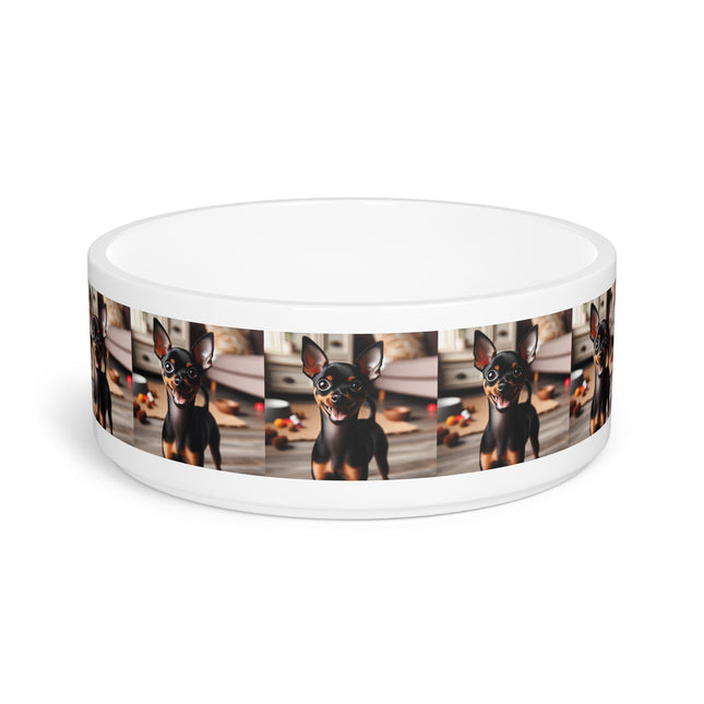 Ceramic Pet Bowl – 16 oz Dog Feeding Bowl