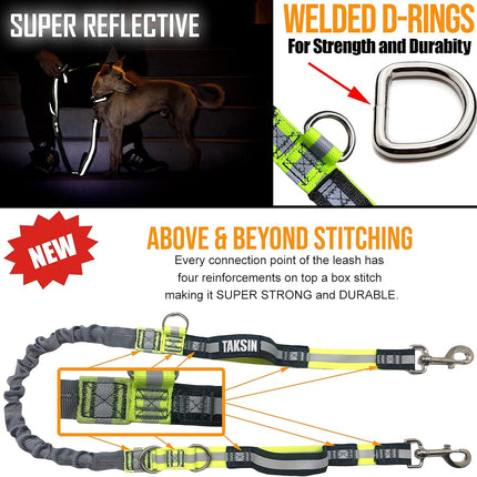 Hands Free Dog Leash Two Dogs Double Bungee Reflective Running Kit