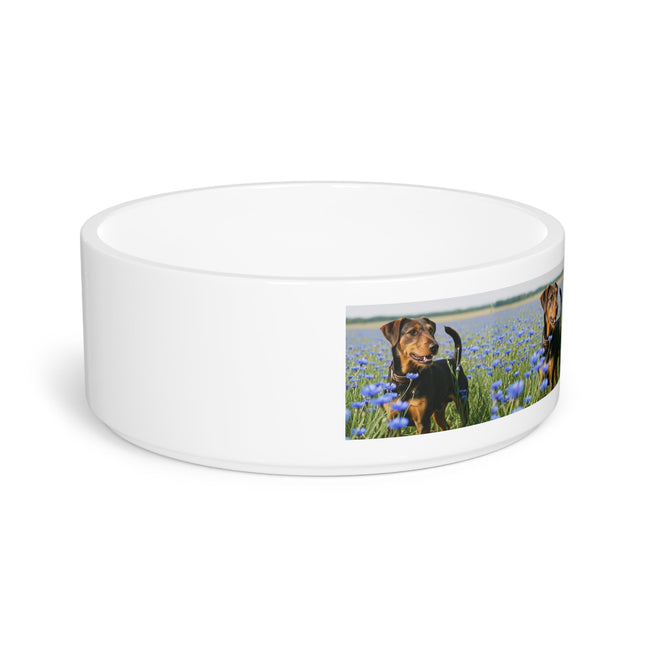 Ceramic Pet Bowl – 16 oz Dog Feeding Bowl