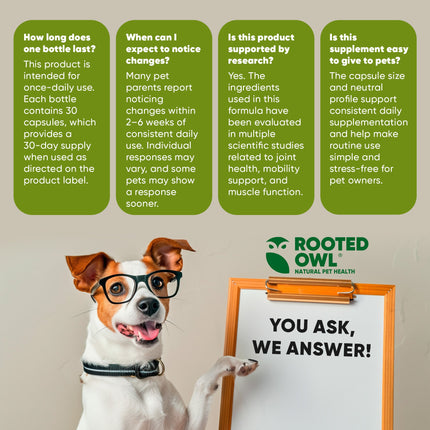 Joint & Muscle Health (Cats & Small Dogs)