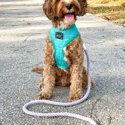 Dog Rope Leash - Serenity