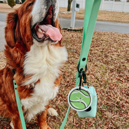 Dog Waterproof Leash - Green