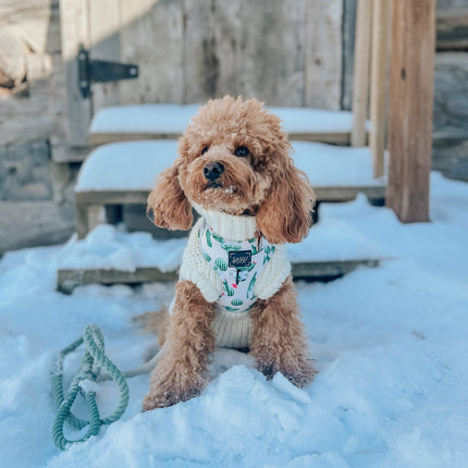 Dog Rope Leash - Dandy