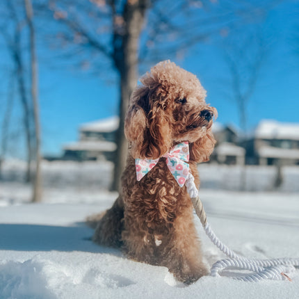 Hands Free Rope Leash - Dove