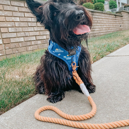 Dog Rope Leash - Clementine