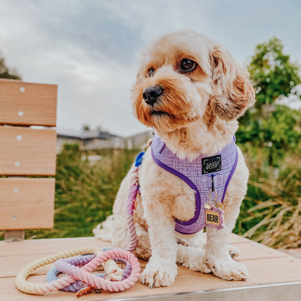 Hands Free Rope Leash - Caroline