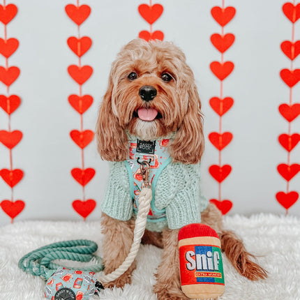 Dog Rope Leash - Dandy