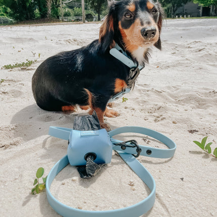 Dog Waterproof Leash - Blue