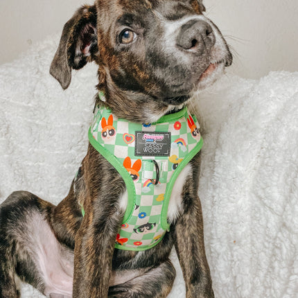 Dog Adjustable Harness - The Powerpuff Girls™ (Green)