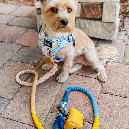Dog Rope Leash - Airy