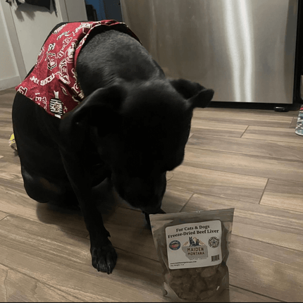 Freeze Dried Beef Liver Treats | 4oz.
