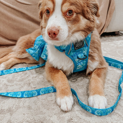 Dog Step-in Harness - Tropical Tides