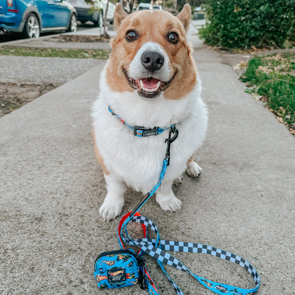 Dog Collar - Hot Wheels™