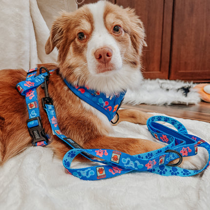 Dog Adjustable Harness - Blue's Clues™