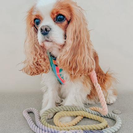 Dog Rope Leash - Sprinkles