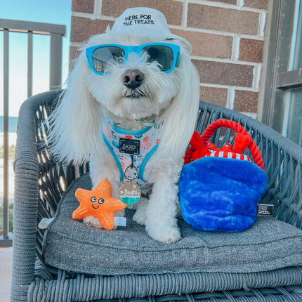 Dog Bucket Hat - Here For The Treats