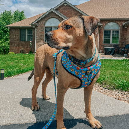 Dog Collar - Nickelodeon CatDog™