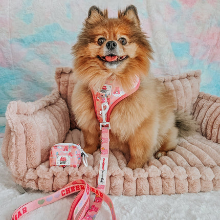 Dog Adjustable Harness - Care Bears™ Cheer Bear
