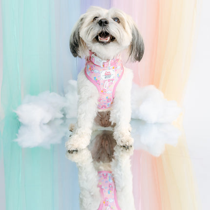 Dog Adjustable Harness - Care Bears™ Cheer Bear