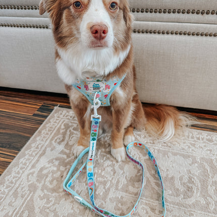 Dog Adjustable Harness - Care Bears™ Care-a-Lot