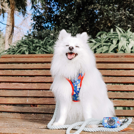 Dog Rope Leash - Serenity