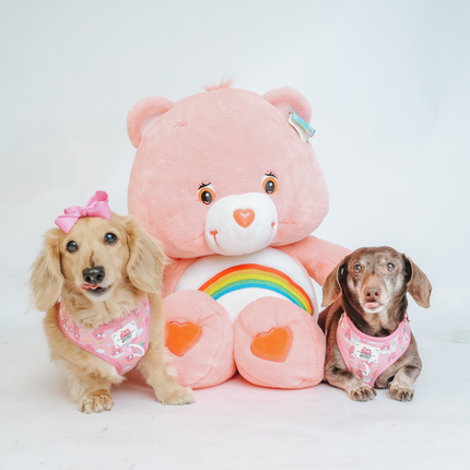 Dog Adjustable Harness - Care Bears™ Cheer Bear