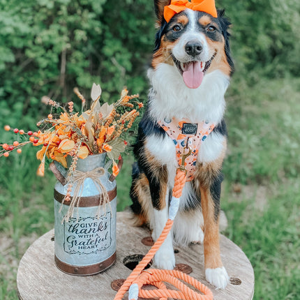 Dog Rope Leash - Clementine
